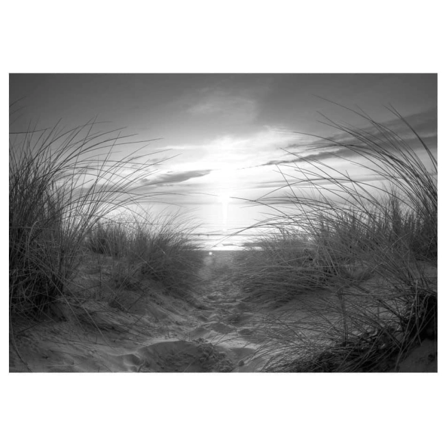 Fototapeta samoprzylepna - plaża (czarno-biały)