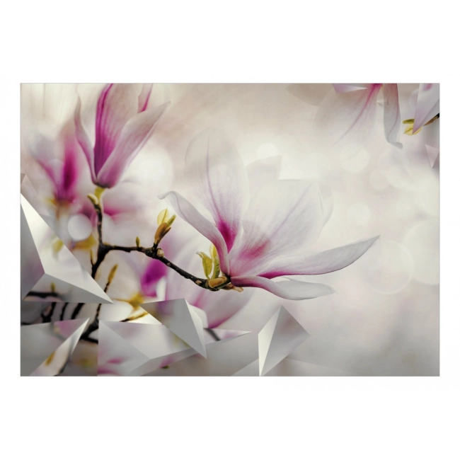 Fototapeta samoprzylepna - Subtelne magnolie - trzeci wariant