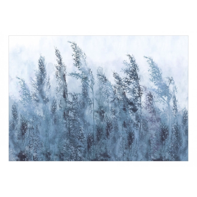 Fototapeta samoprzylepna - Wysokie trawy - szary