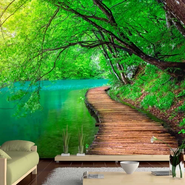 Fototapeta samoprzylepna 3D las jezioro zielony spokój
