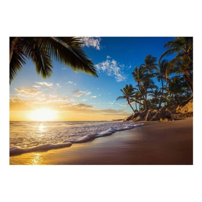 Fototapeta morze słońce palmy Tropikalna plaża