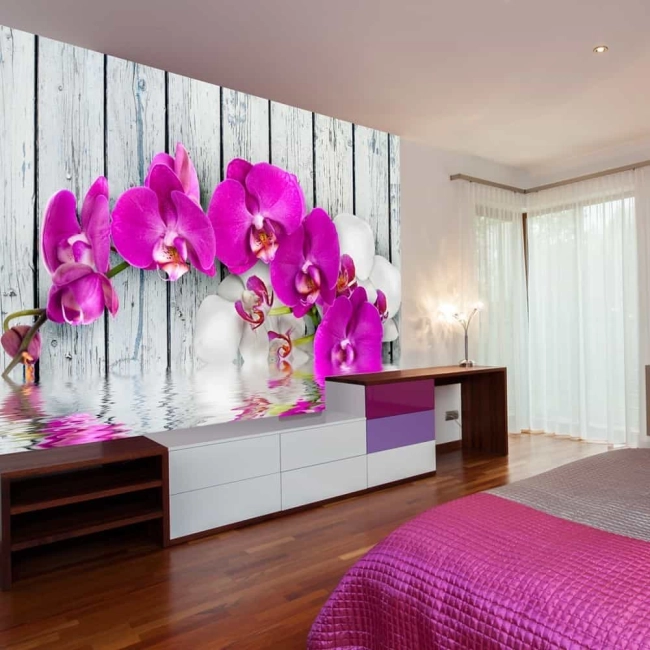 Fototapeta - Violet orchids with water reflexion