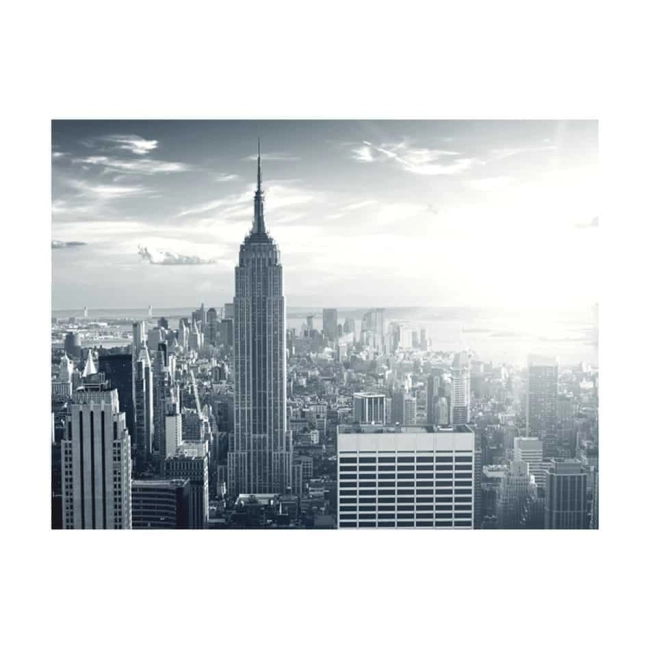 Fototapeta - Widok na nowojorski Manhattan o świcie