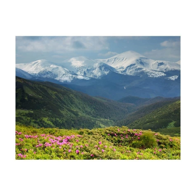 Fototapeta - Wiosenny krajobraz górski
