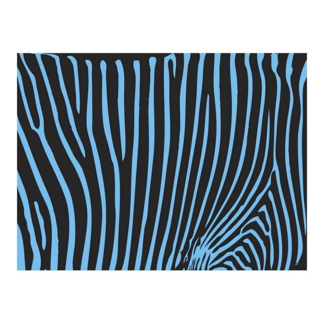 Fototapeta - Zebra pattern (turkus)