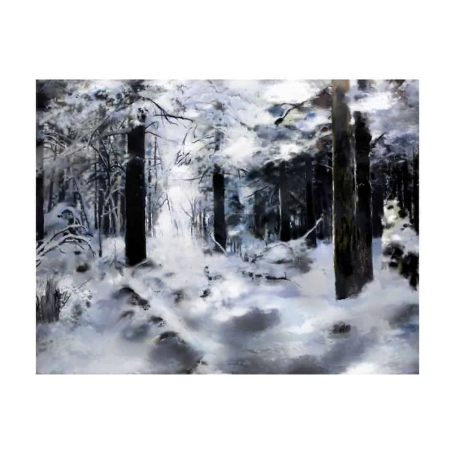 Fototapeta - Zimowy las
