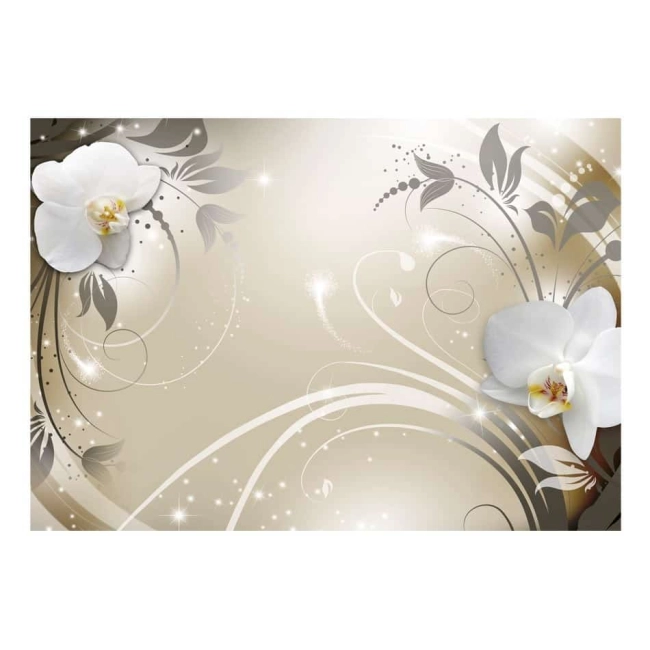 Fototapeta kwiaty storczyki białe Złoty taniec