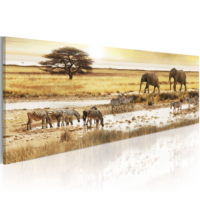 Obraz - zwierzęta Afryka przy wodopoju słonie