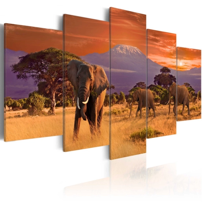 Obraz - afrykański widok pejzaż słonie zwierzęta