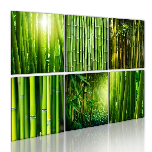 Obraz - Bambus w kilku odsłonach OBRAZ NA PŁÓTNIE WŁOSKIM