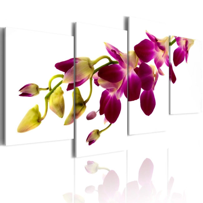 Obraz - Blask orchidei OBRAZ NA PŁÓTNIE WŁOSKIM