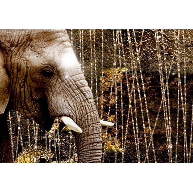 Obraz - Brązowe słonie OBRAZ NA PŁÓTNIE WŁOSKIM