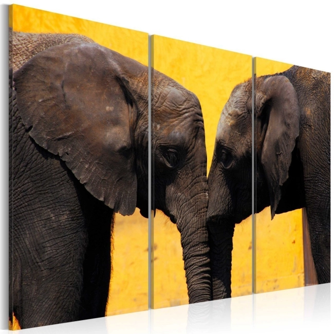 Obraz - Całus pary słoni OBRAZ NA PŁÓTNIE WŁOSKIM