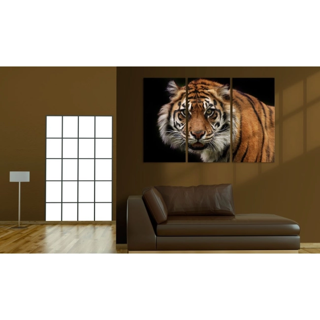 Obraz - Drapieżny tygrys OBRAZ NA PŁÓTNIE WŁOSKIM