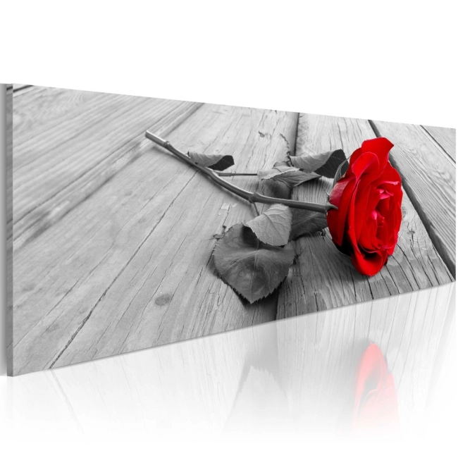 Obraz - Karminowa róża OBRAZ NA PŁÓTNIE WŁOSKIM