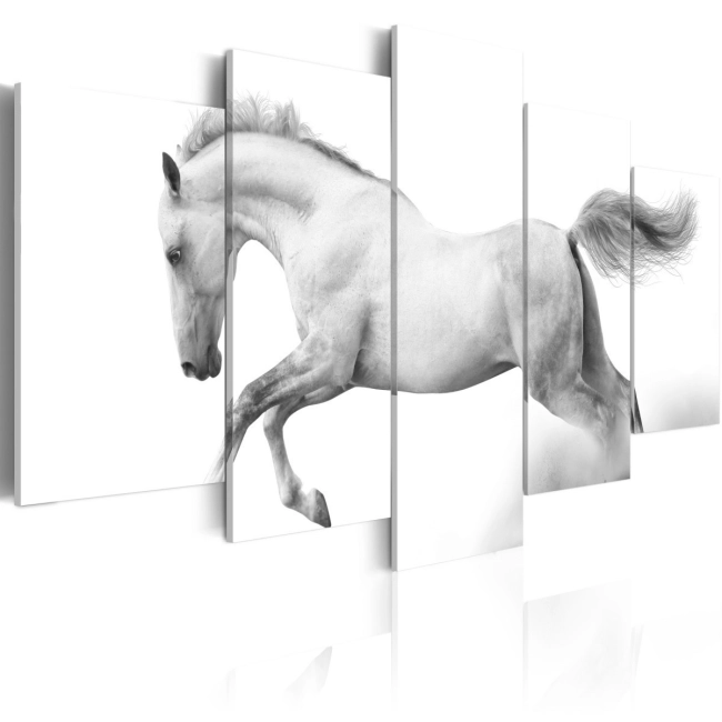 Obraz - Koń - pasja i wolność OBRAZ NA PŁÓTNIE WŁOSKIM