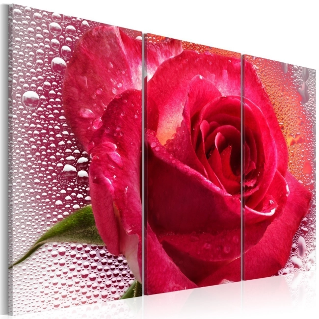 Obraz - Lady Rose - triptych OBRAZ NA PŁÓTNIE WŁOSKIM