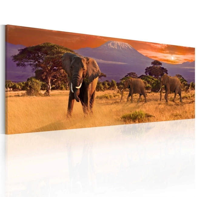 Obraz - Marsz afrykańskich słoni OBRAZ NA PŁÓTNIE WŁOSKIM