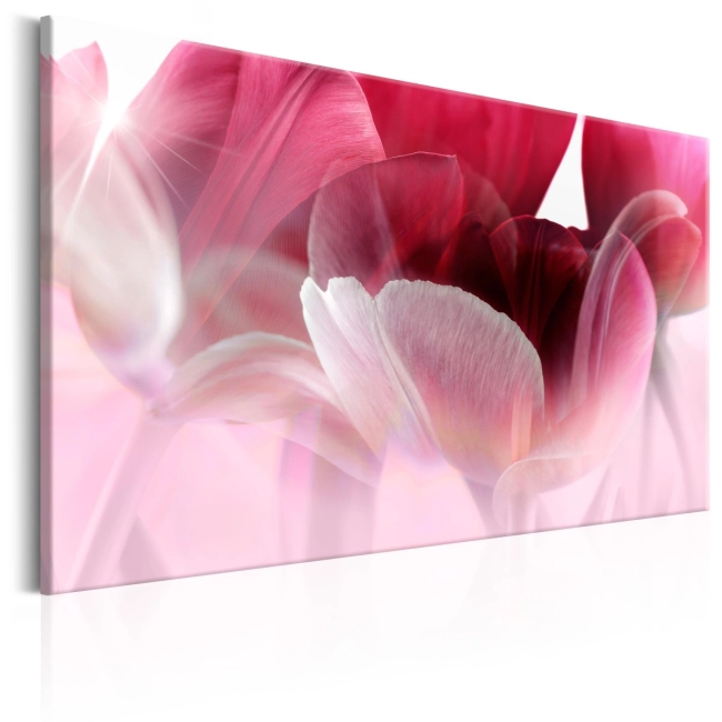 Obraz - Natura: Różowe tulipany OBRAZ NA PŁÓTNIE WŁOSKIM