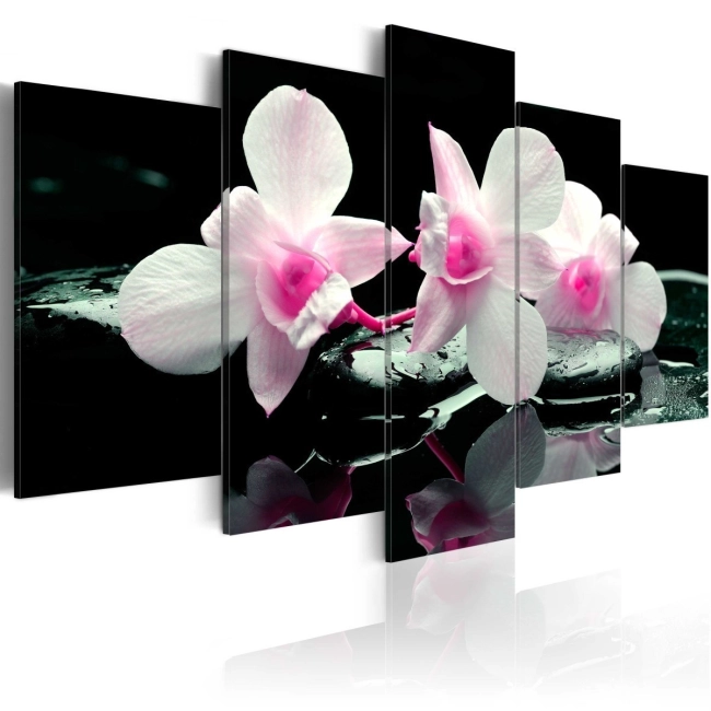 Obraz - Odpoczynek orchidei OBRAZ NA PŁÓTNIE WŁOSKIM