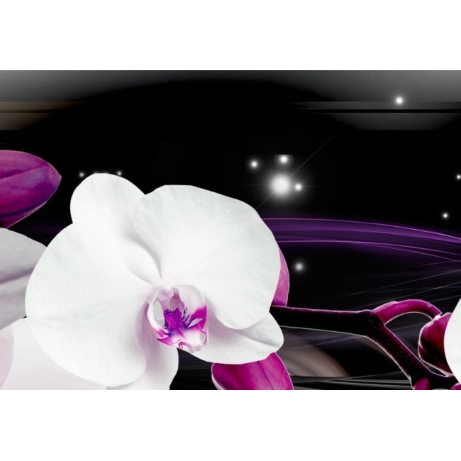 Obraz - Orchidee na czarnym tle OBRAZ NA PŁÓTNIE WŁOSKIM