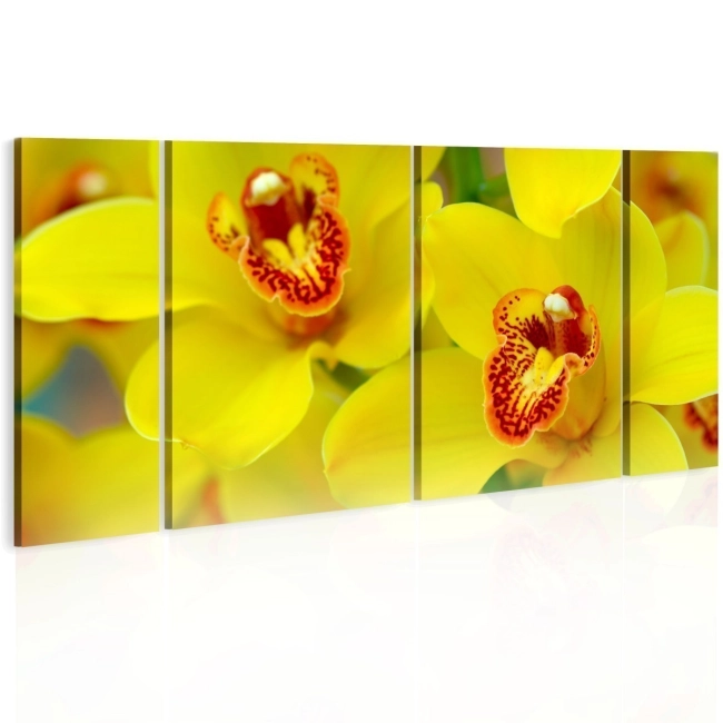 Obraz - Orchids - intensity of yellow color OBRAZ NA PŁÓTNIE WŁOSKIM