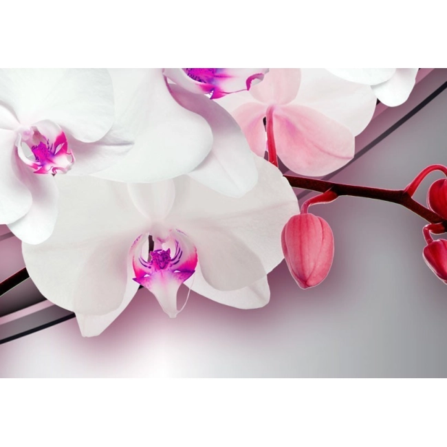 Obraz - Pieśń orchidei OBRAZ NA PŁÓTNIE WŁOSKIM