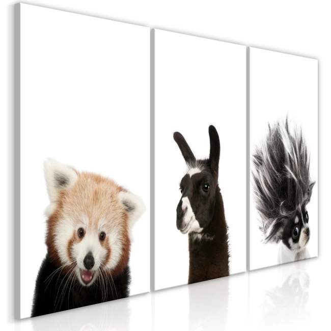 Obraz - Przyjazne zwierzęta (kolekcja) OBRAZ NA PŁÓTNIE WŁOSKIM