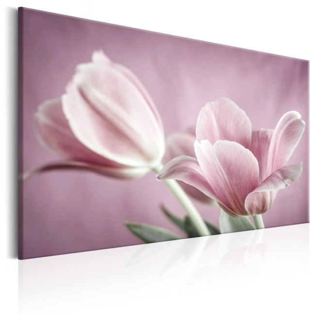 Obraz - Romantyczne tulipany OBRAZ NA PŁÓTNIE WŁOSKIM