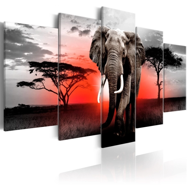 Obraz - Samotny słoń OBRAZ NA PŁÓTNIE WŁOSKIM