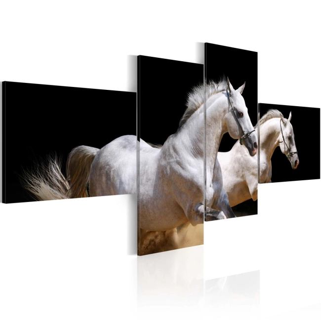 Obraz - Świat zwierząt - białe konie w galopie OBRAZ NA PŁÓTNIE WŁOSKIM