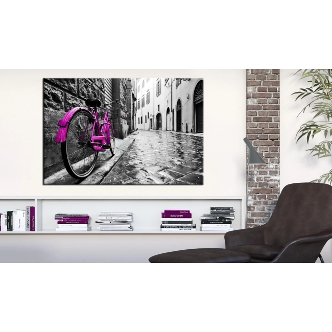 Obraz - Vintage Pink Bike