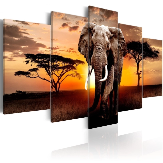 Obraz - Wędrówka słonia OBRAZ NA PŁÓTNIE WŁOSKIM