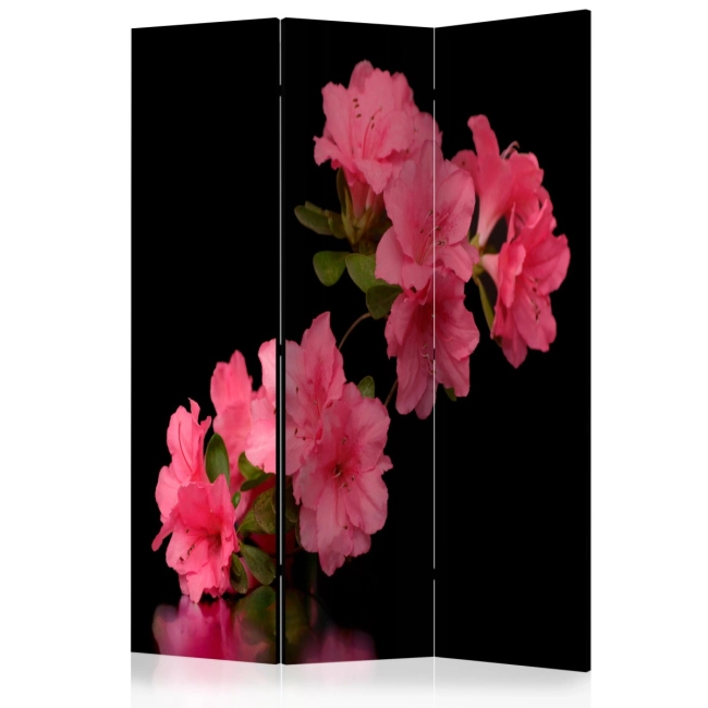 Parawan 3-częściowy - Azalea in Black [Room Dividers]