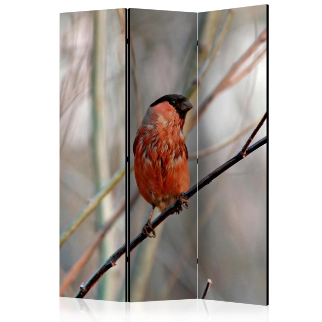 Parawan 3-częściowy - Bullfinch in the forest [Room Dividers]