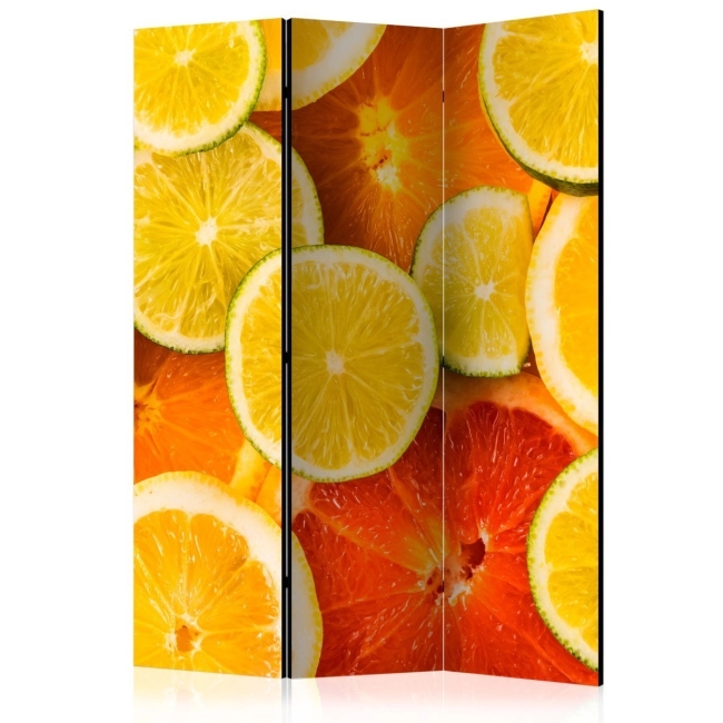 Parawan 3-częściowy - Citrus fruits [Room Dividers]