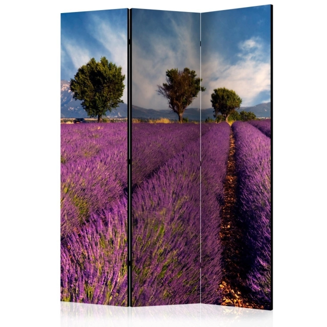 Parawan 3-częściowy - Lavender field in Provence, France [Room Dividers]