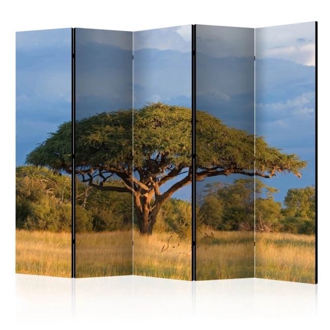 Parawan 5-częściowy - Afrykańska akacja - Park Narodowy Hwange, Zimbabwe II [Room Dividers]