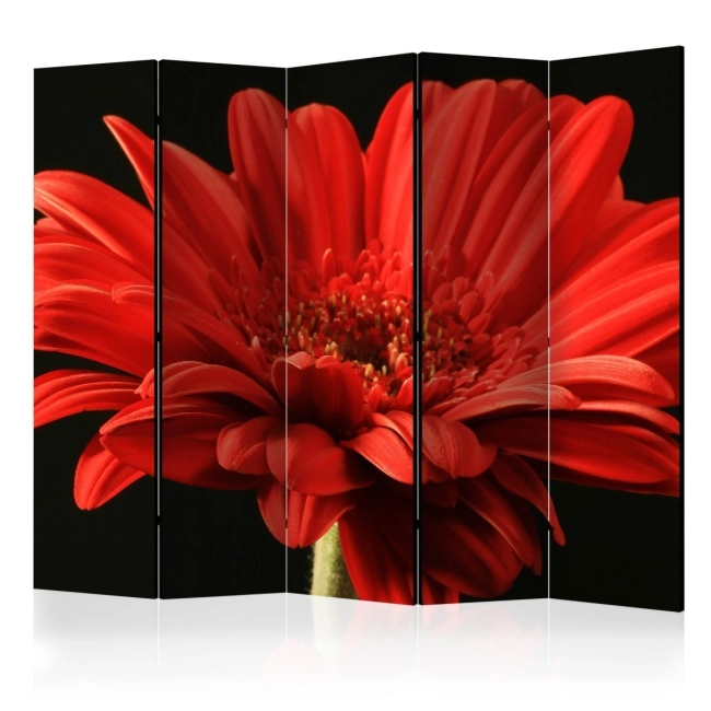 Parawan 5-częściowy - Czerwona gerbera II [Room Dividers]