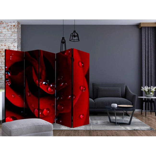 Parawan 5-częściowy - Czerwona róża i krople rosy II [Room Dividers]