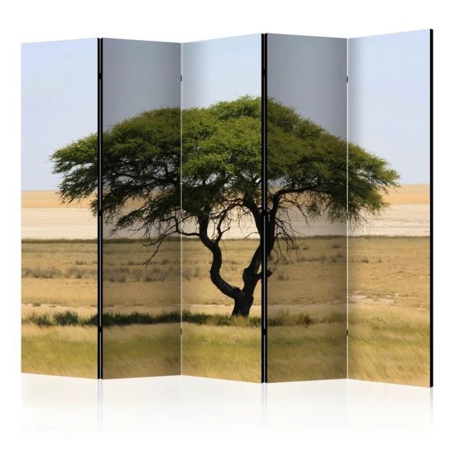 Parawan 5-częściowy - Etosha National Park, Namibia II [Room Dividers]