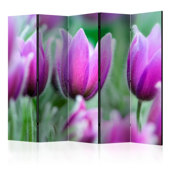Parawan 5-częściowy - Fioletowe wiosenne tulipany [Room Dividers]