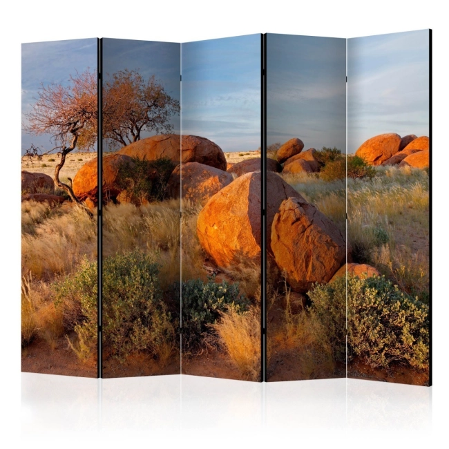 Parawan 5-częściowy - Pejzaż afrykański, Namibia II [Room Dividers]