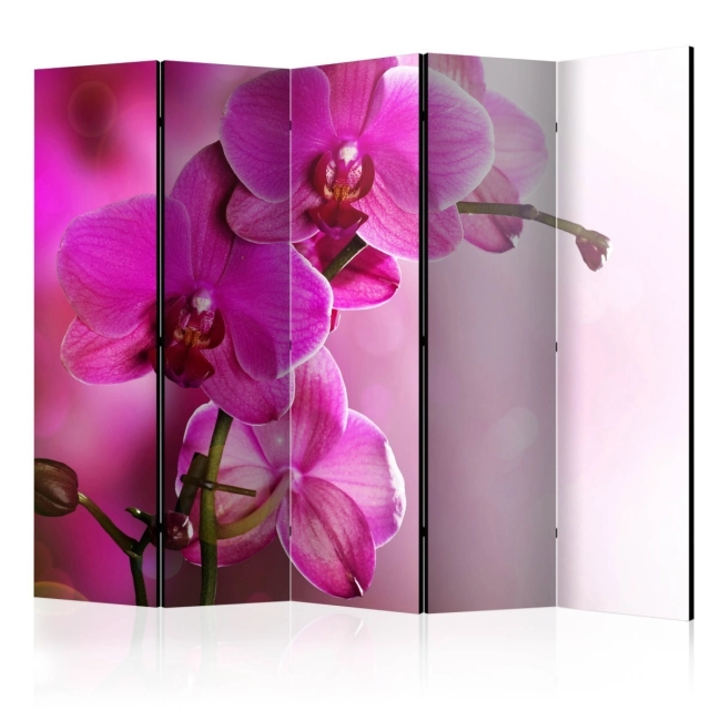 Parawan 5-częściowy - Różowa orchidea II [Room Dividers]