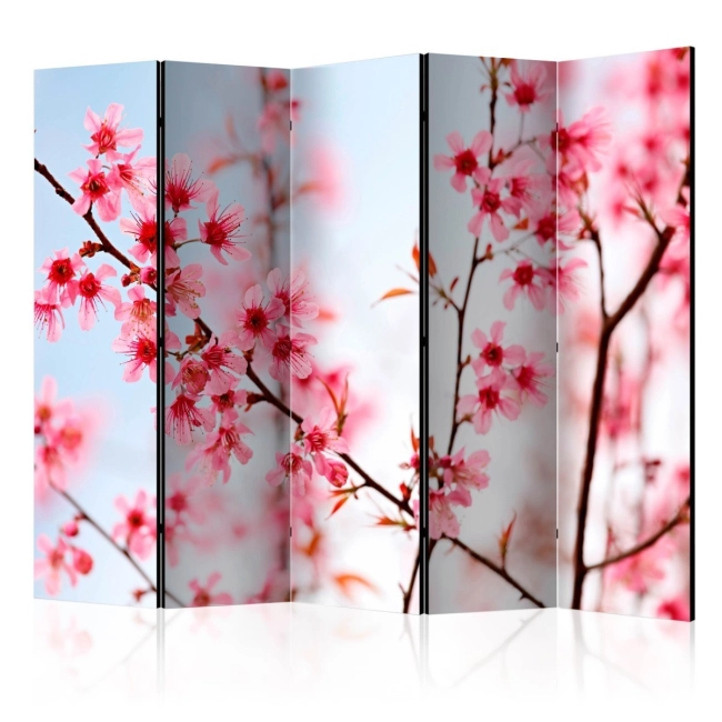 Parawan 5-częściowy - Symbol Japonii - kwiaty wiśni sakura II [Room Dividers]