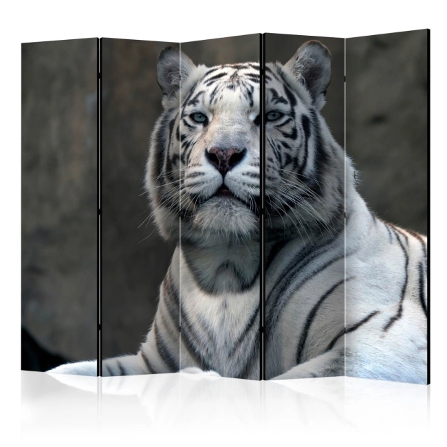 Parawan 5-częściowy - Tygrys bengalski w zoo II [Room Dividers]