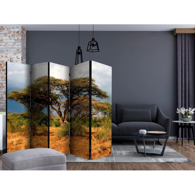 Parawan 5-częściowy - W krainie Samburu, Kenia II [Room Dividers]