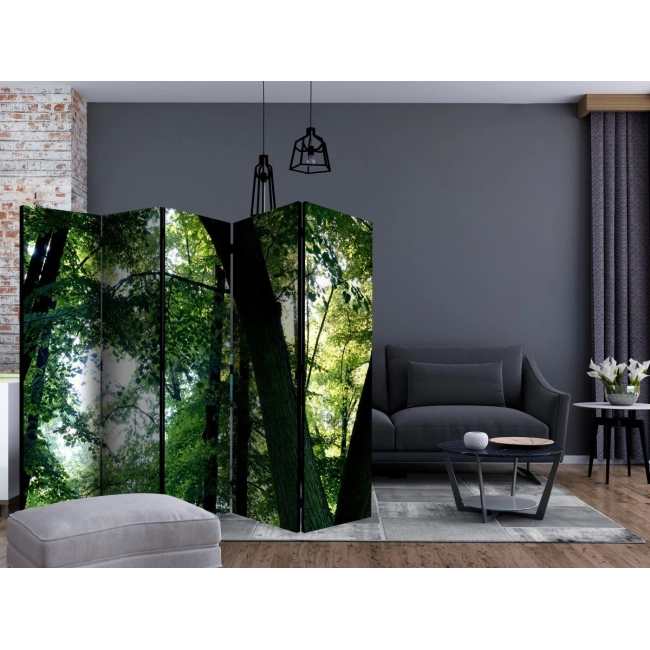 Parawan 5-częściowy - Wiosna w parku II [Room Dividers]