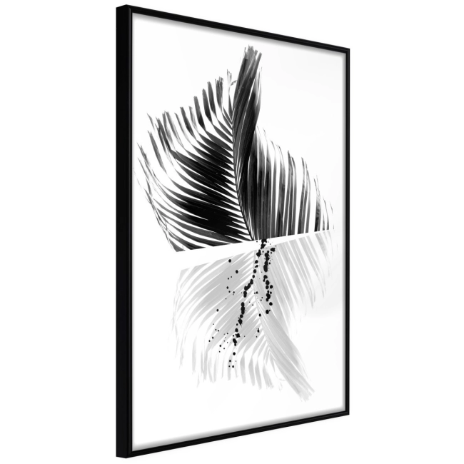 Plakat czarno-biała abstrakcja pióra natura