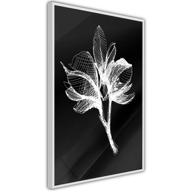 Plakat - Biała roślina